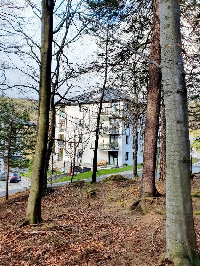 Apartament Wlochatka Z Sauna Finska Świeradów-Zdrój Eksteriør billede